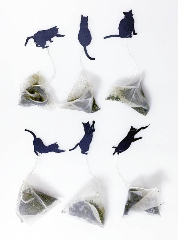 6匹の猫ティーバッグ