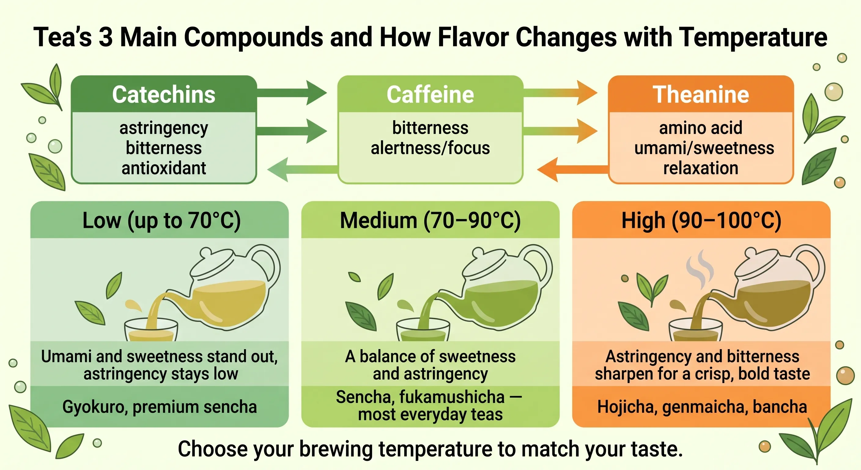 Infographic illustrating tea's three main compounds — catechins, caffeine, and theanine — and how flavor changes across low (up to 70°C), medium (70–90°C), and high (90–100°C) brewing temperatures