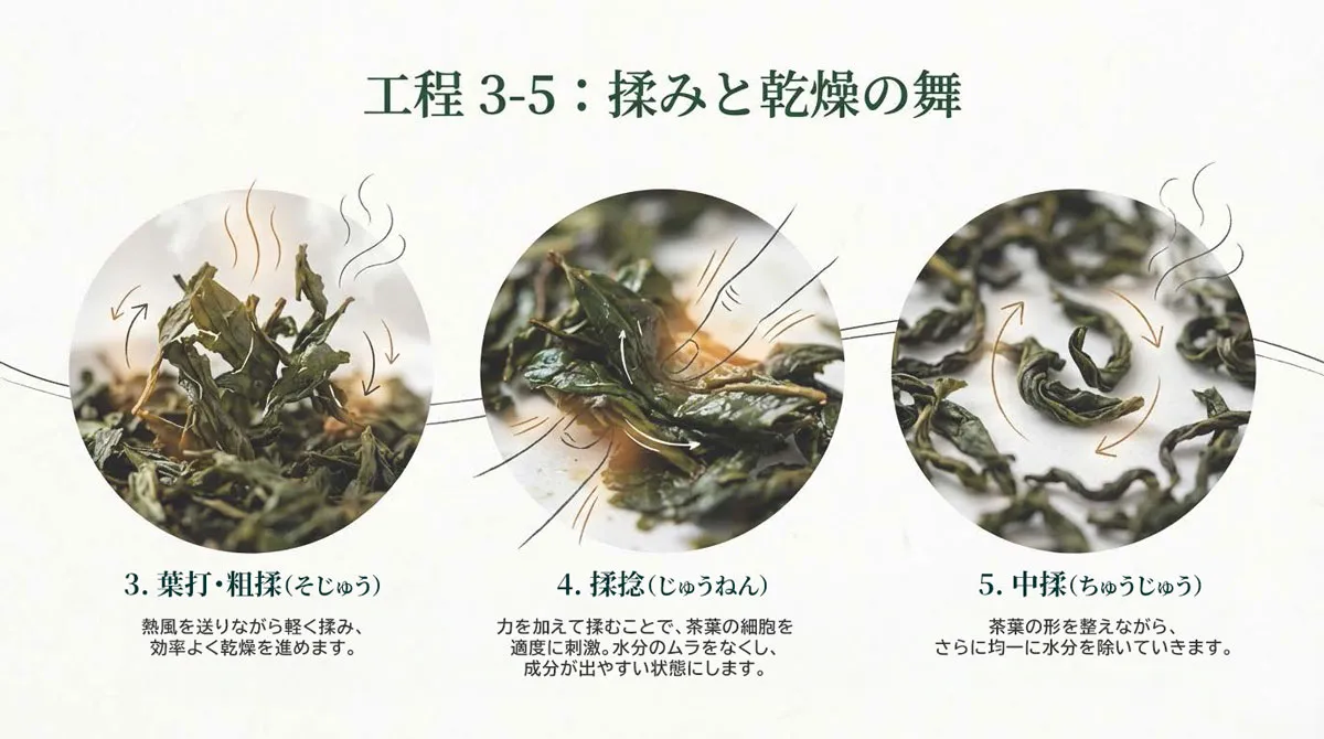 深蒸し茶製造工程 粗揉から中揉