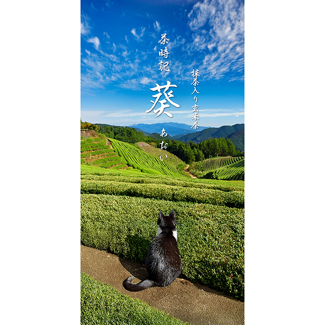 抹茶入り玄米茶Aoiパッケージ表
